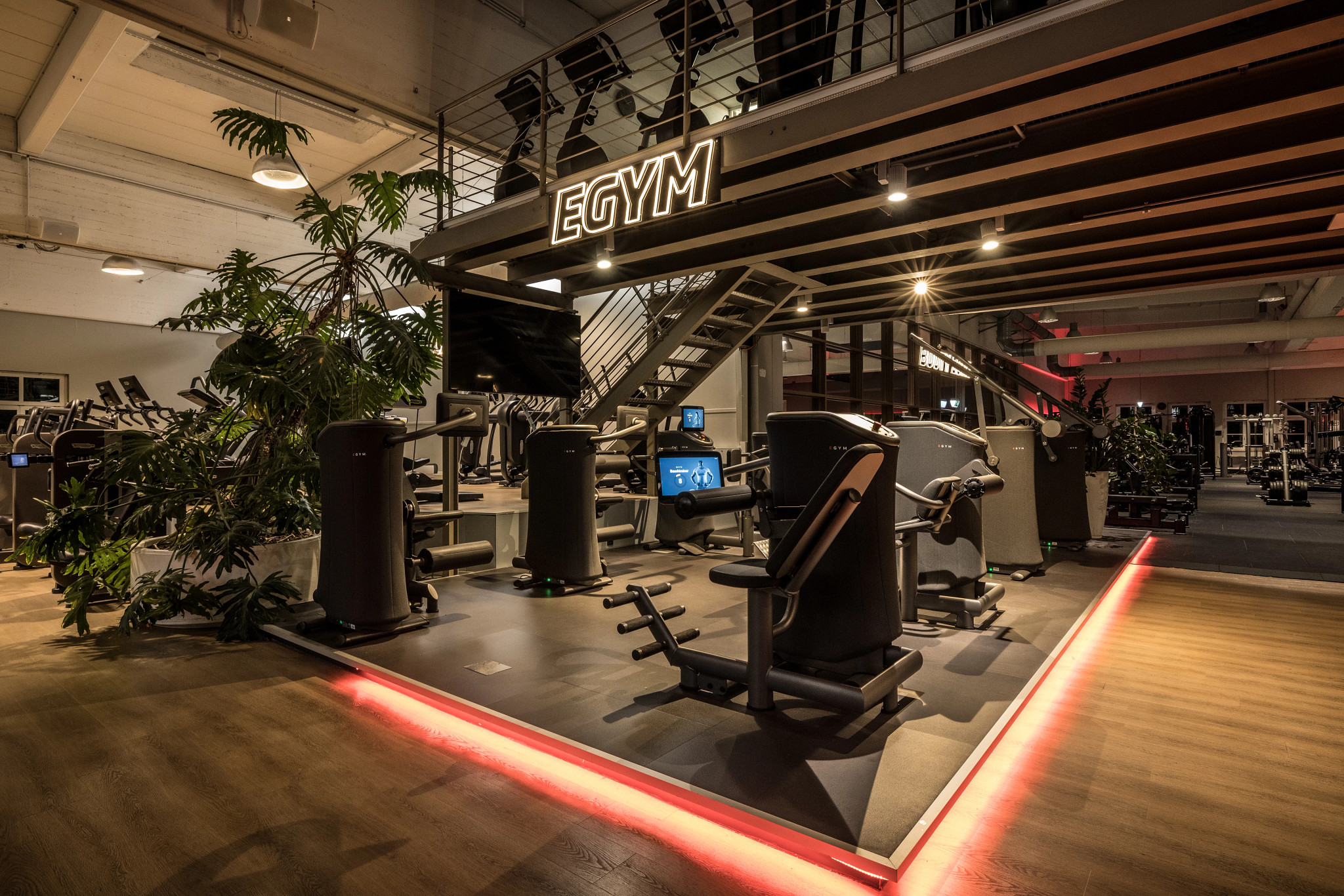 Fitness First Wiesbaden EGYM