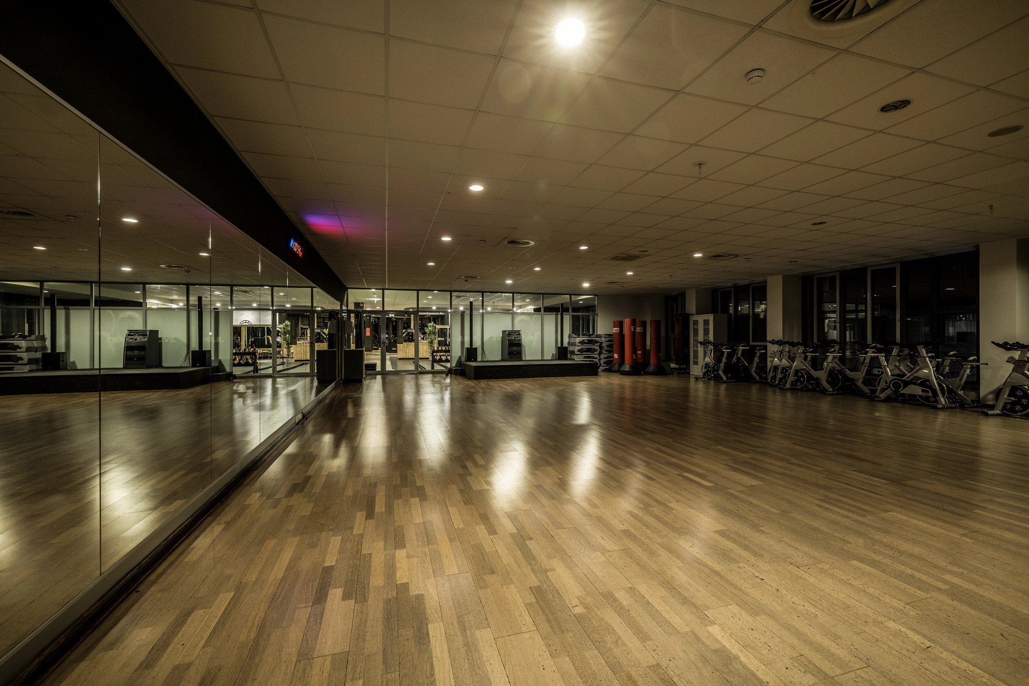 Zumba® in Bad Cannstatt