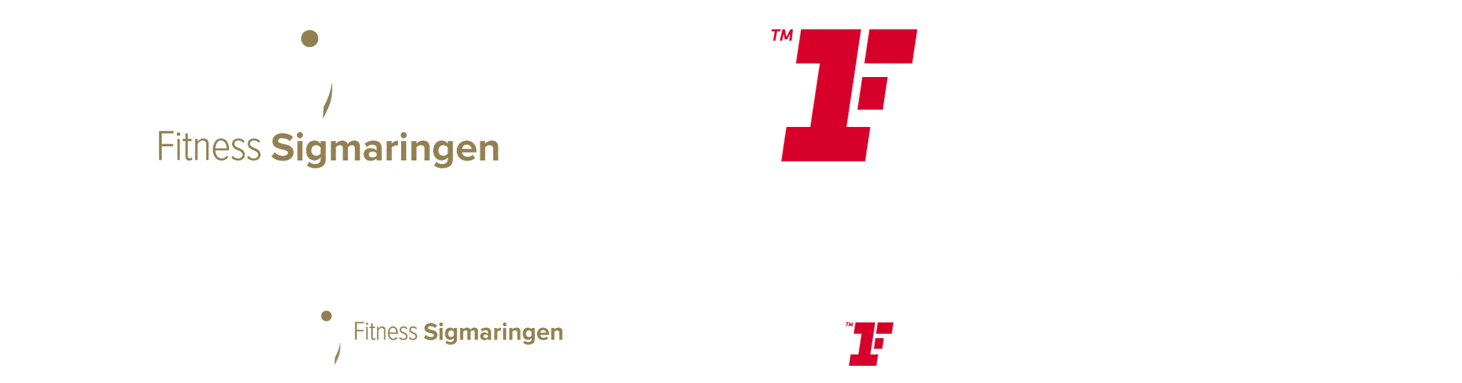 Co-Branding Logo - Fitness Sigmaringen x Fitness First