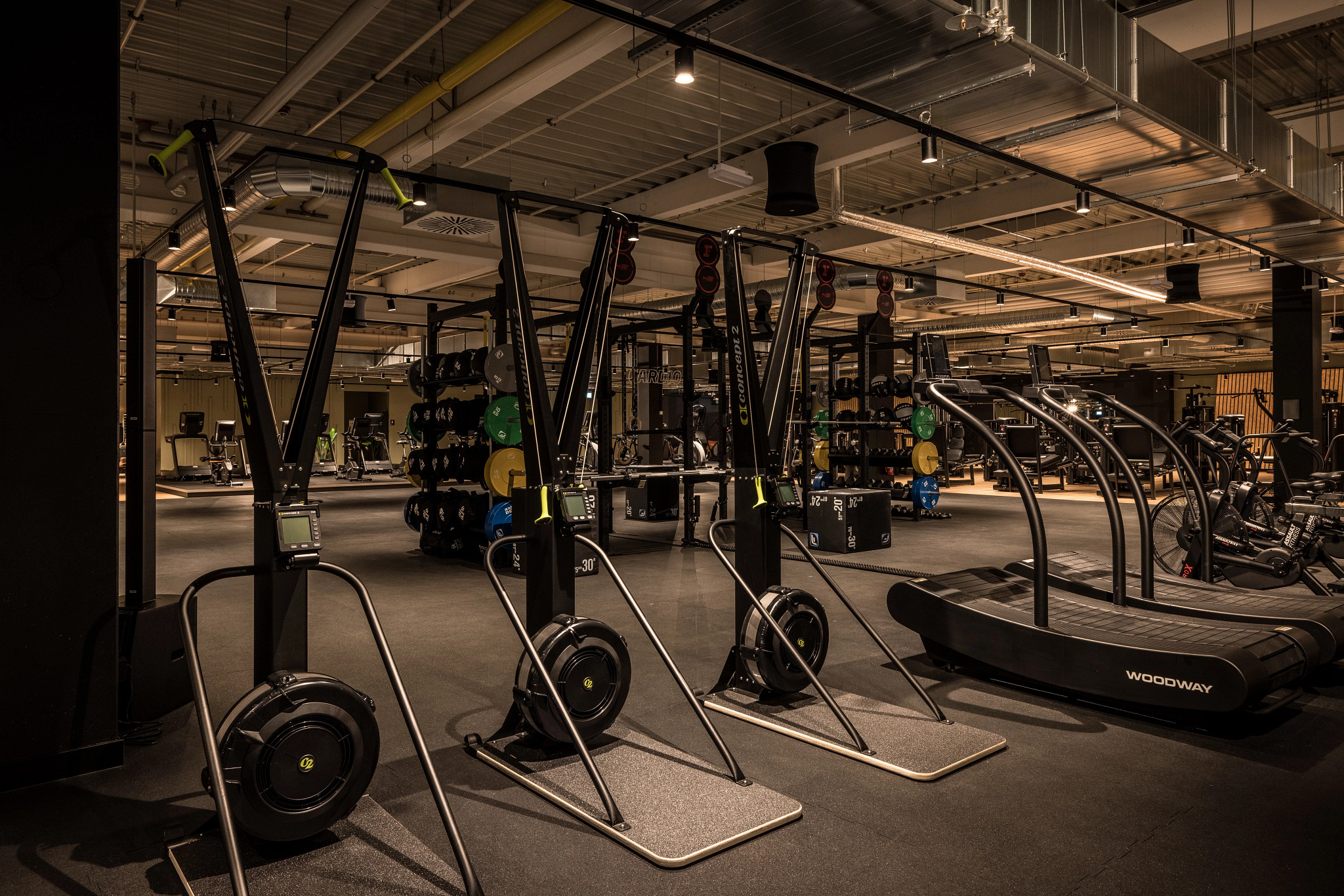 Fitness First Dresden